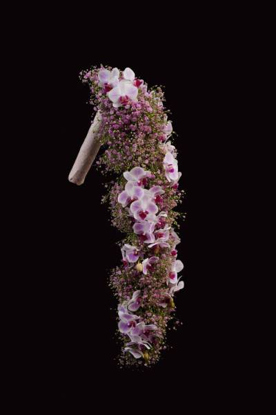 Flower：ミディファレノプシス、かすみ草