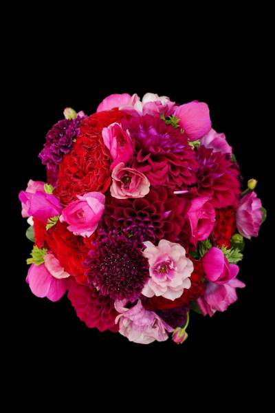Flower：バラ、ダリア、スカビオサ、ラナンキュラス