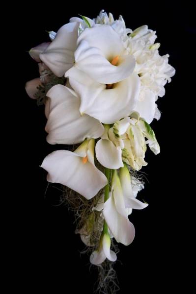 Flower：カラー