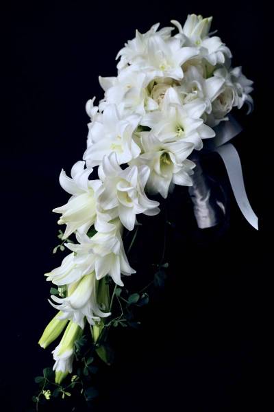 Flower：鉄砲ユリ