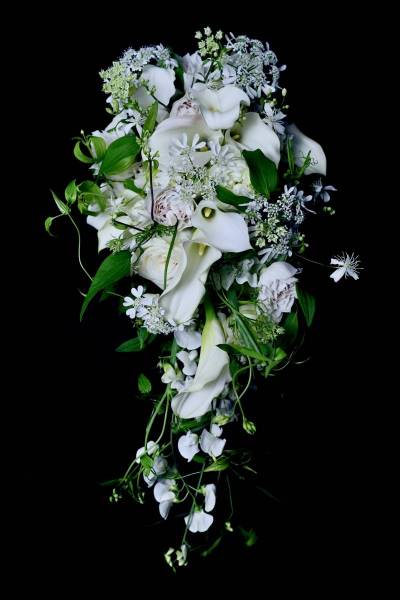 Flower：バラ、カラー、クレマチス、スイートピー、初雪草