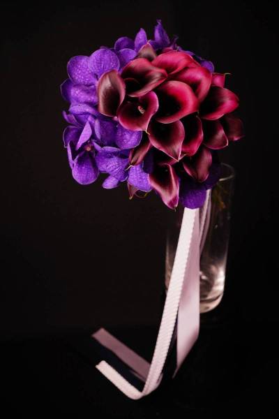 Flower：カラー、バンダ