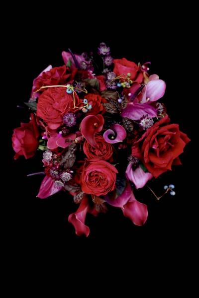Flower：バラ、カラー、アンスリウム、ミディファレノ、アストランチア、野ブドウ