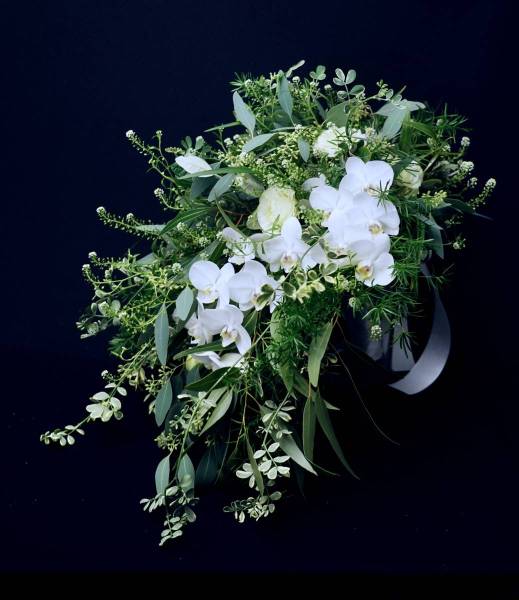 Flower：ファレノ、バラ、ユーカリ、タラスピ、コロニラ、フェイジョア
