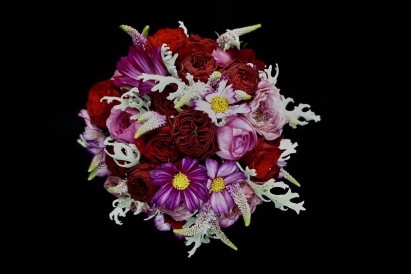 Flower：バラ、コスモス