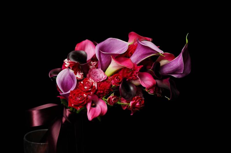 Flower：カラー、バラ、ケイトウ