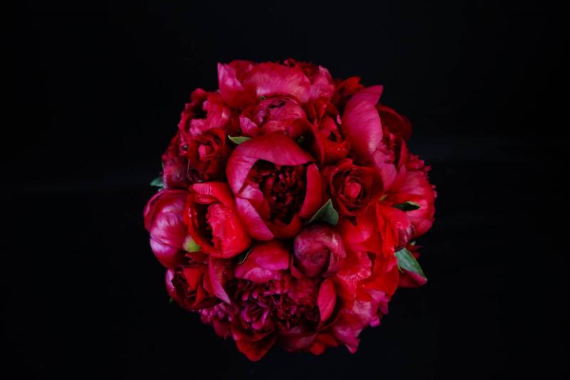 Flower：芍薬（レッドチャーム）