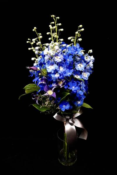 Flower：デルフィニュウム、クレマチス