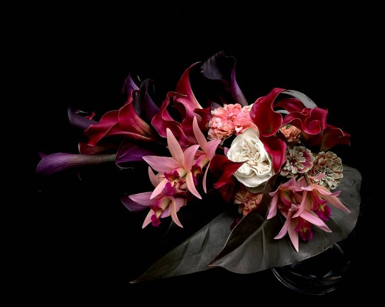 Flower：バラ（ラロック）、カラー２種類、カトレア（サンタバーバラサンセット）、レッドダッチェス、ジニア