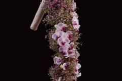 Flower：ミディファレノプシス、かすみ草