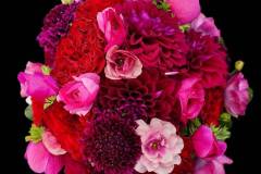 Flower：バラ、ダリア、スカビオサ、ラナンキュラス