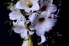 Flower：ユリ、ダイヤモンドリリー、アストランチア