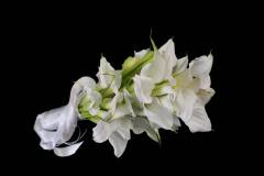 Flower：カラー