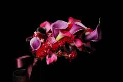 Flower：カラー、バラ、ケイトウ