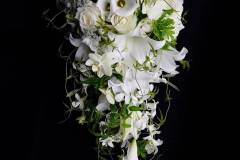 Flower：テッポウユリ、カラー、ミディファレノプシス、バラ、レースフラワー、羽衣ジャスミン、ゼラニュウム