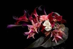 Flower：バラ（ラロック）、カラー２種類、カトレア（サンタバーバラサンセット）、レッドダッチェス、ジニア