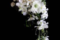 Flower：バラ、スカビオサ、クレマチス