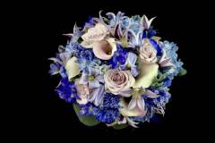 Flower：バラ、クレマチス、カラー、デルフィニュウム、アスチルベ