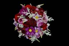 Flower：バラ、コスモス