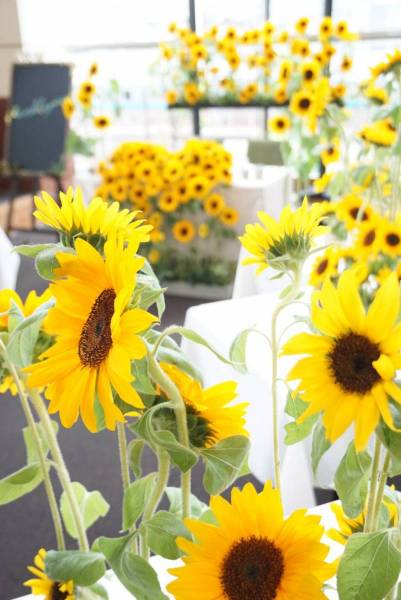 Table Decoration