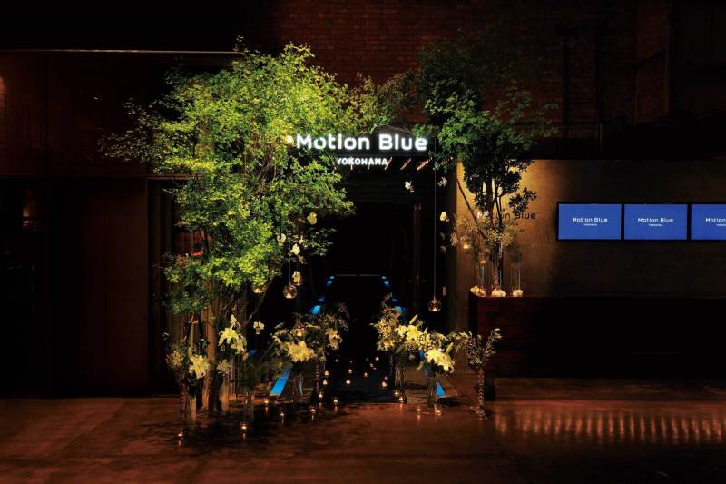 Welcome Decoration